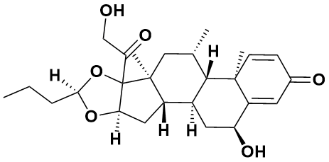 6&alpha;-羟基布地奈德 - Adamas