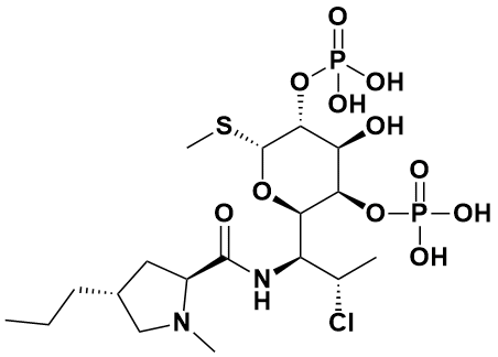 克林霉素磷酸酯EP杂质I - Adamas