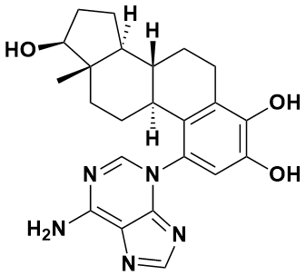 4-羟基雌二醇 1-N3-腺嘌呤 - Adamas