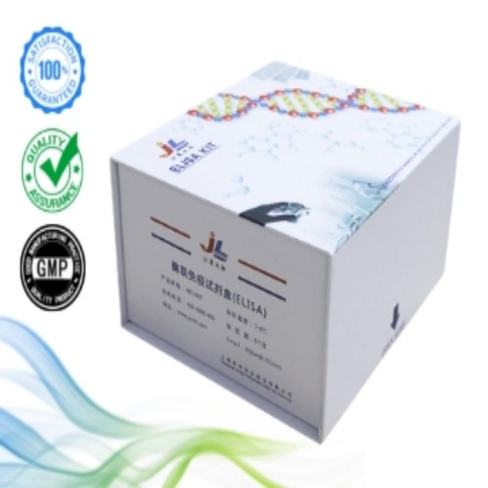 小鼠琥珀酸脱氢酶复合体B亚基(SDHB)ELISA检测试剂盒 - 江莱生物