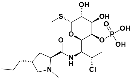 克林霉素磷酸酯EP杂质D - Adamas