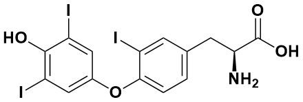 左甲状腺素EP杂质K - Adamas