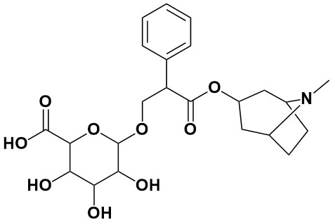 阿托品葡萄糖醛酸苷