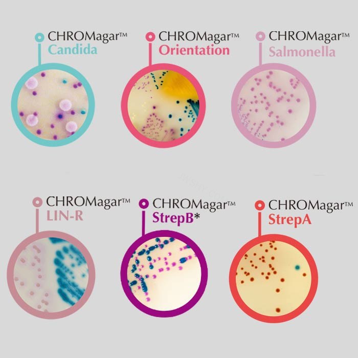 ST160P-90 科玛嘉STEC显色平板 - CHROMagar/法国科玛嘉