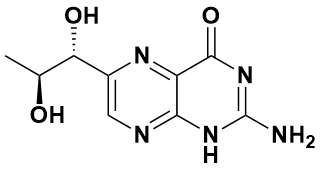 L-生物喋呤 - Adamas