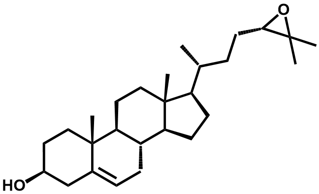 (24S)-24,25-环氧胆固醇 - Adamas