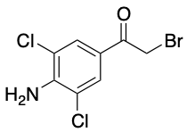 克伦特罗EP杂质E - Adamas