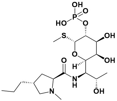 克林霉素杂质8 - Adamas