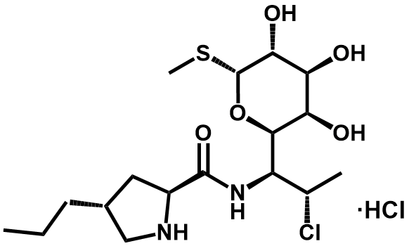 N-去甲基克林霉素盐酸盐 - Adamas