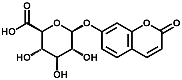 7-羟基香豆素葡萄糖醛酸苷 - Adamas
