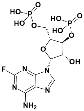 磷酸氟达拉滨EP杂质C - Adamas