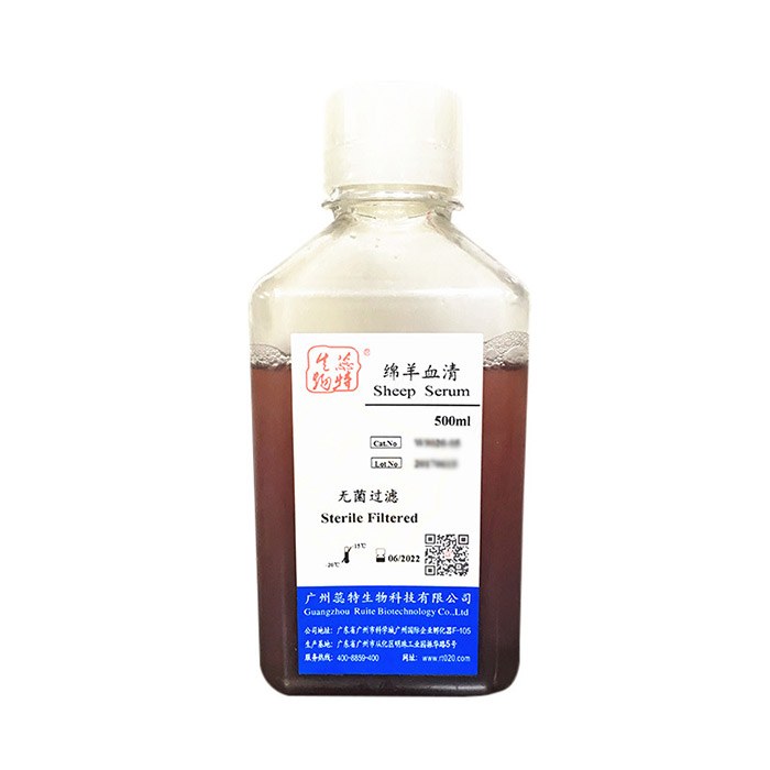 绵羊血清 - Sbjbio/森贝伽