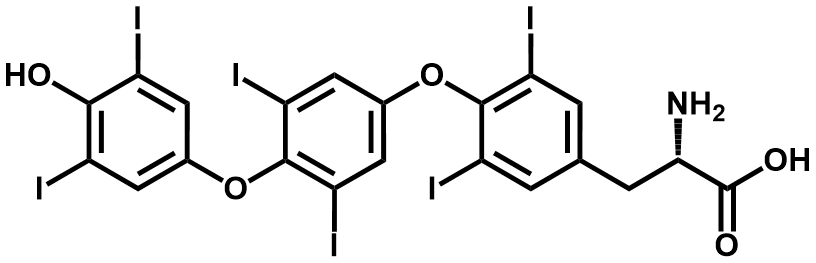 左甲状腺素EP杂质F - Adamas