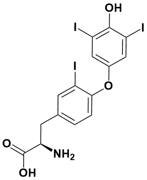 左甲状腺素EP杂质K(R-异构体) - Adamas