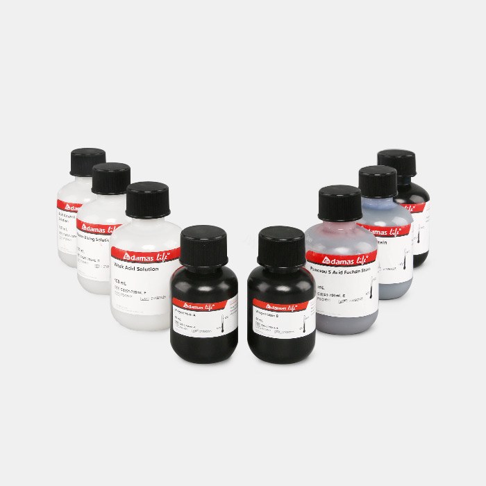 Masson三色染色试剂盒 - Sbjbio/森贝伽