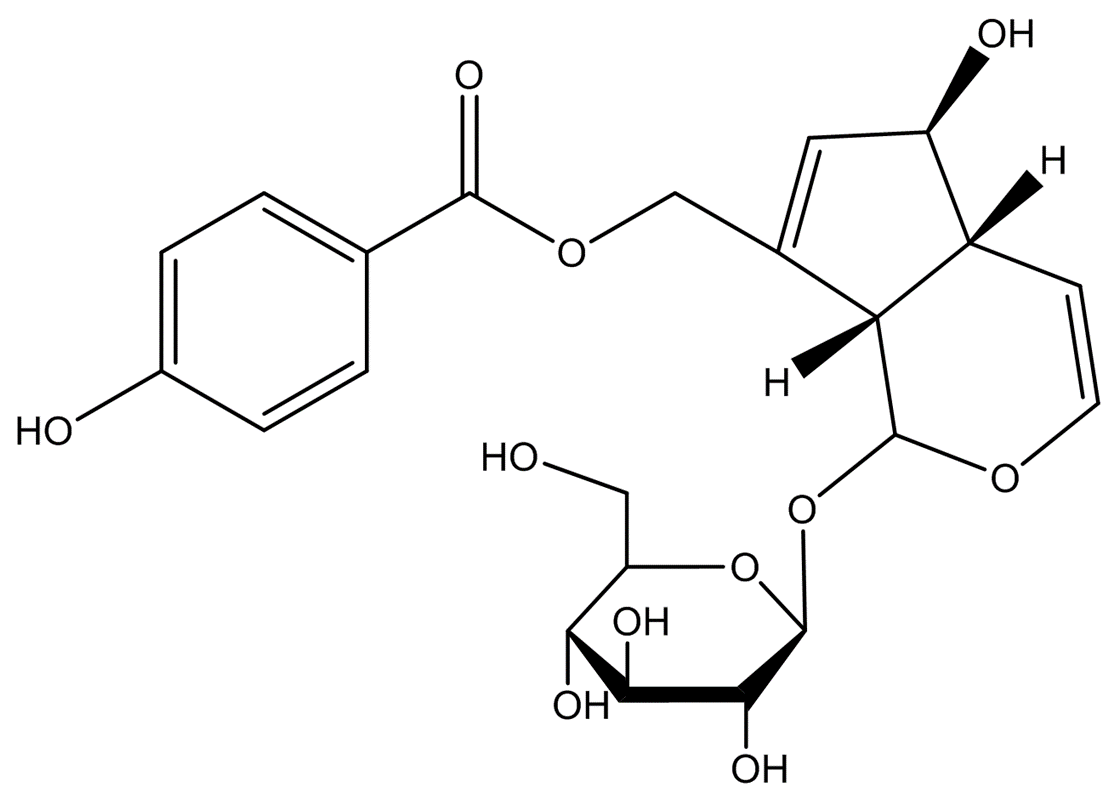 牡荆甙 - Adamas