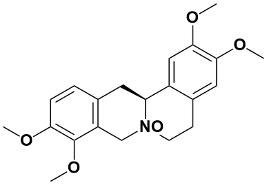 延胡索乙素N氧化物 - Adamas