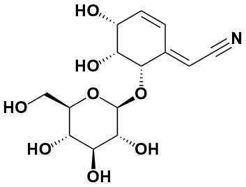5-表紫草氰苷 - Adamas