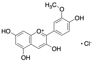 氯化芍药素 - Adamas