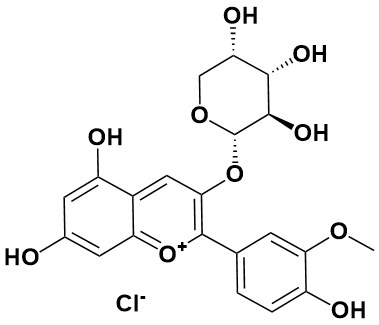 氯化芍药素-3-O-阿拉伯糖苷 - Adamas