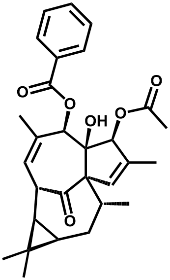 甘遂大戟萜酯C - Adamas