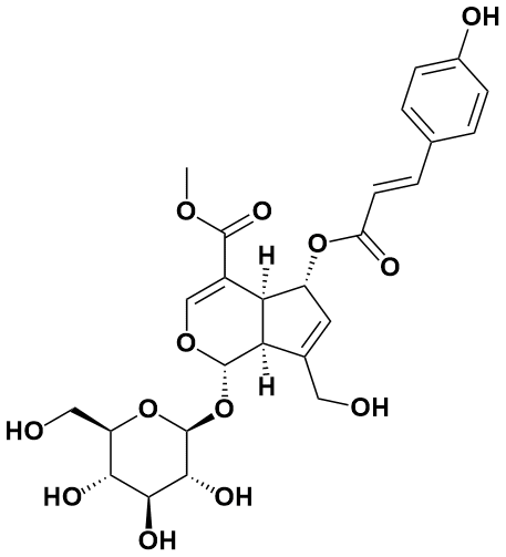 (E)-6-O-对香豆酰鸡屎藤次苷甲酯