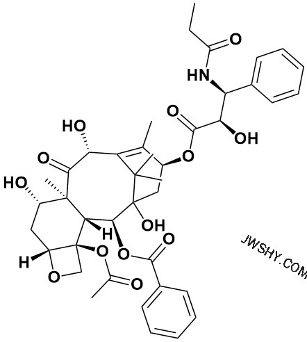 10-脱乙酰基紫杉醇乙基类似物 - Adamas