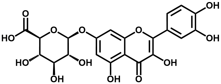 槲皮素7-O-&beta;-D-葡萄糖醛酸苷 - Adamas
