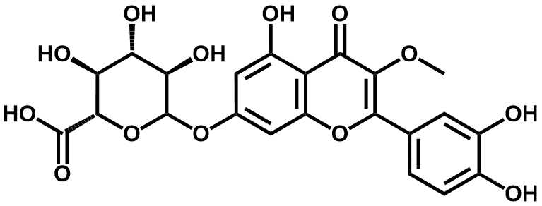 槲皮素3-甲基醚7-葡萄糖醛酸苷 - Adamas