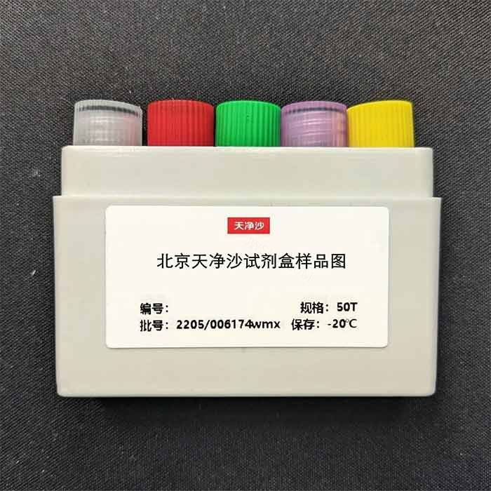 50&times;TAE电泳液