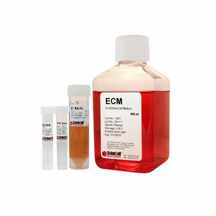星形细胞培养基&nbsp;