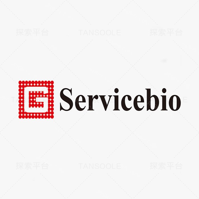 Anti-HOXD9 Rabbit pAb抗体 - Servicebio/赛维尔