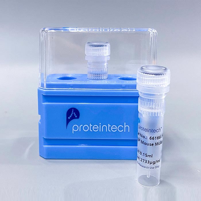 TROVE2 小鼠单抗 - Proteintech/武汉三鹰