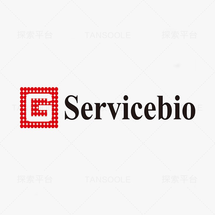 Anti-P4HB Rabbit pAb抗体 - Servicebio/赛维尔