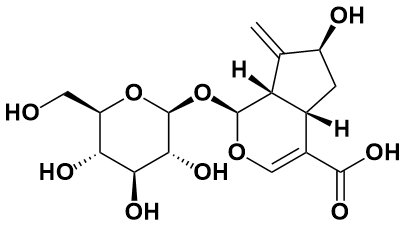 栀子新苷（栀子酮苷） - Adamas