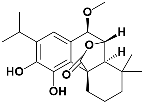 7&beta;-甲氧基迷迭香酚 - Adamas