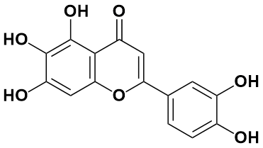 6-羟基木犀草素 - Adamas