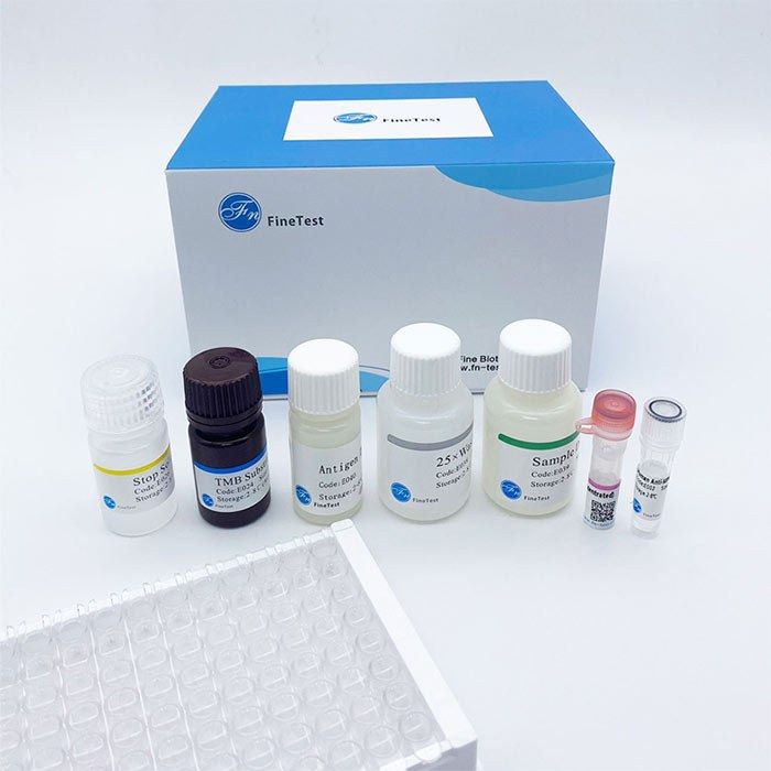 人转化生长因子激酶1(TAK1)ELISA试剂盒 - FineTest/菲恩生物