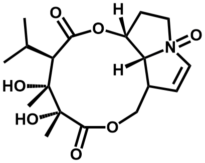 毛束草碱N-氧化物 - Adamas