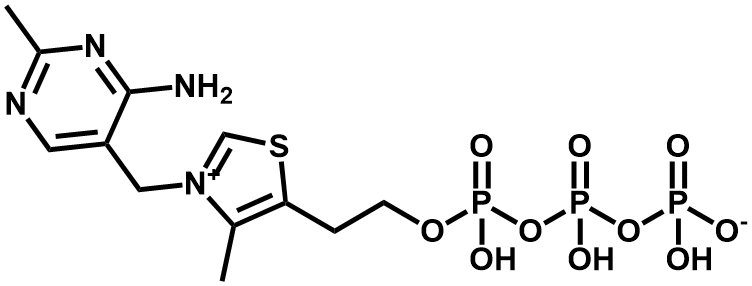 三磷酸硫胺素 - Adamas