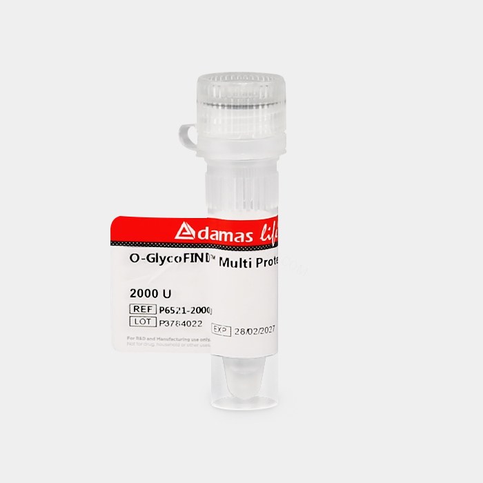 O-GlycoFIND Multi 蛋白酶