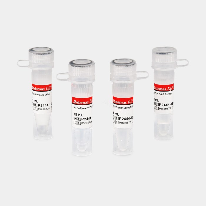 NanoZyme PNGase F糖苷酶 (300U/&mu;L)