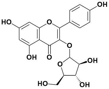 山柰酚-3-O-&alpha;-L-吡喃阿拉伯糖苷
