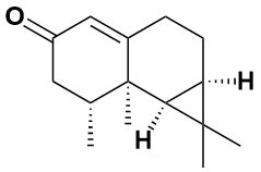 1(10)-马兜铃烯-2-酮