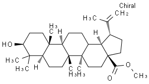 桦木酸甲酯 - Adamas