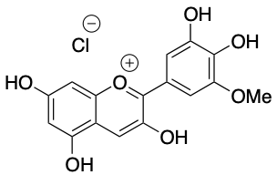 氯化矮牵牛素 - Adamas