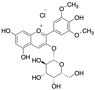氯化锦葵色素-3-O-半乳糖苷 - Adamas