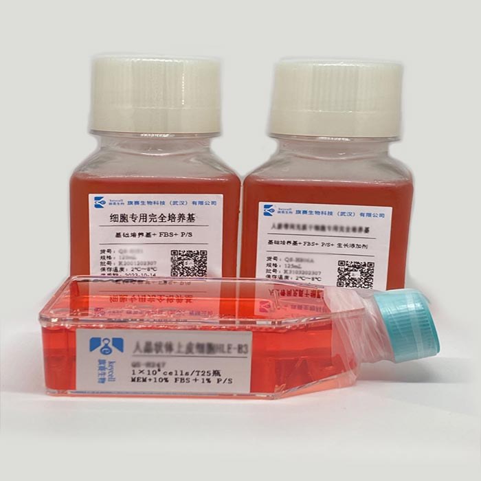 人甲状腺癌细胞 - IMMOCELL/逸漠生物