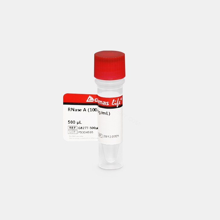 RNase A酶(100 mg/mL)