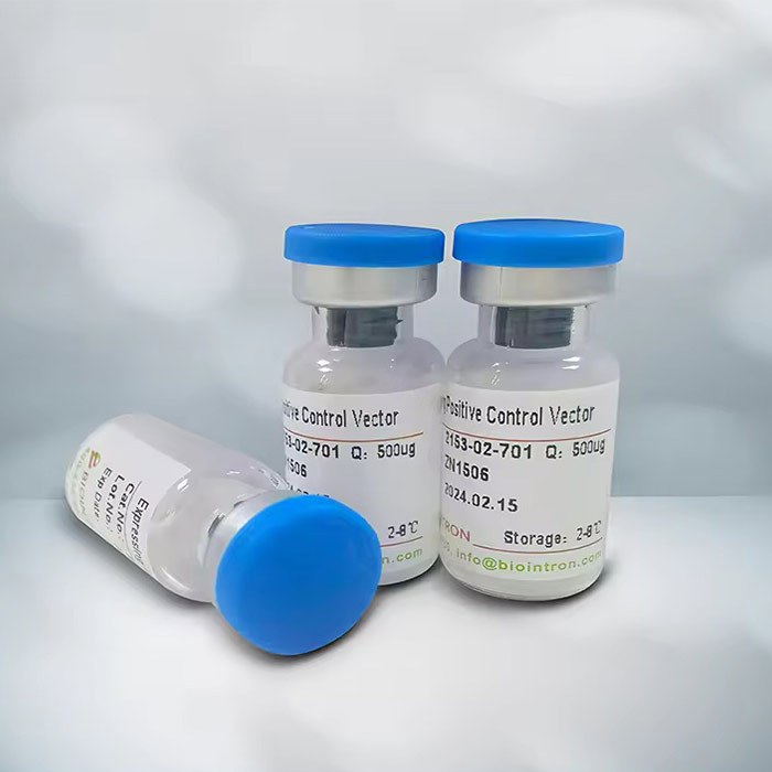 抗体-Anti-Human SLC34A2 Monoclonal Antibody(Upibio) - Abinvivo/百英生物